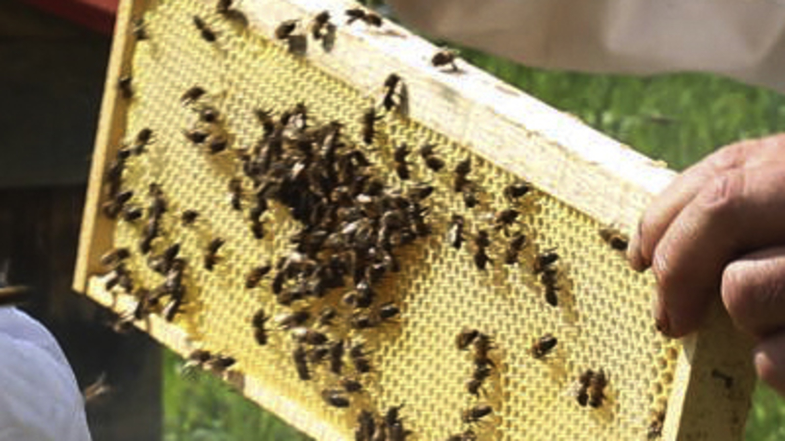 Олег Яровиков