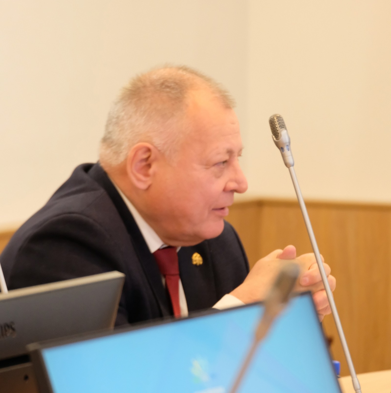 Ляйсан Гарапова ОП РБ