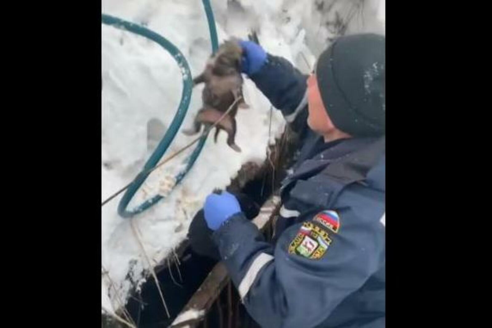 стоп-кадр видео