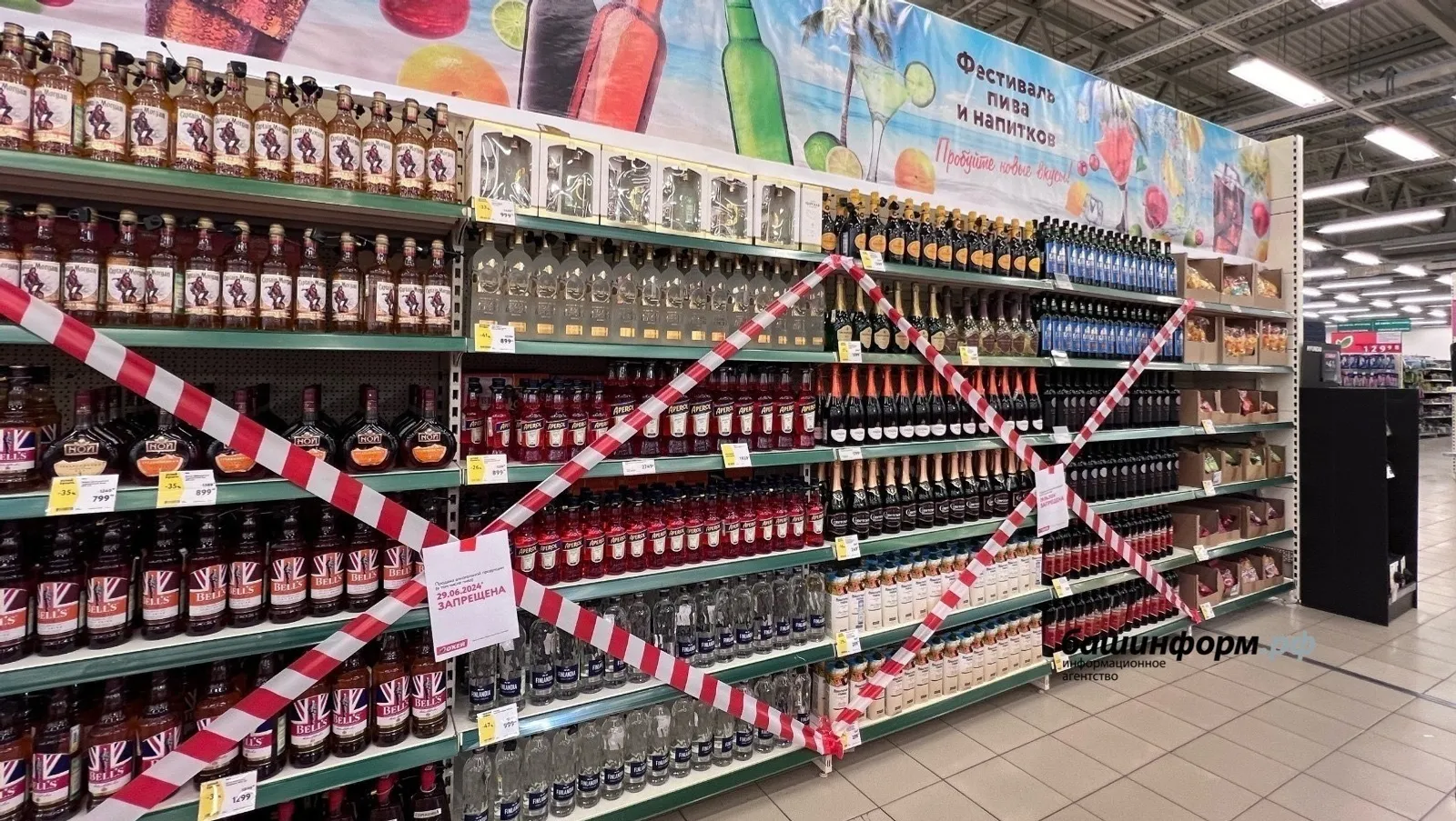 Ксения Калинина, архив