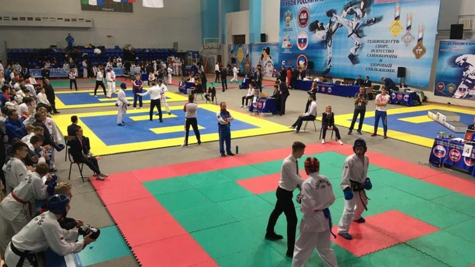 Всестилевая Федерация Тхэквондо РБ