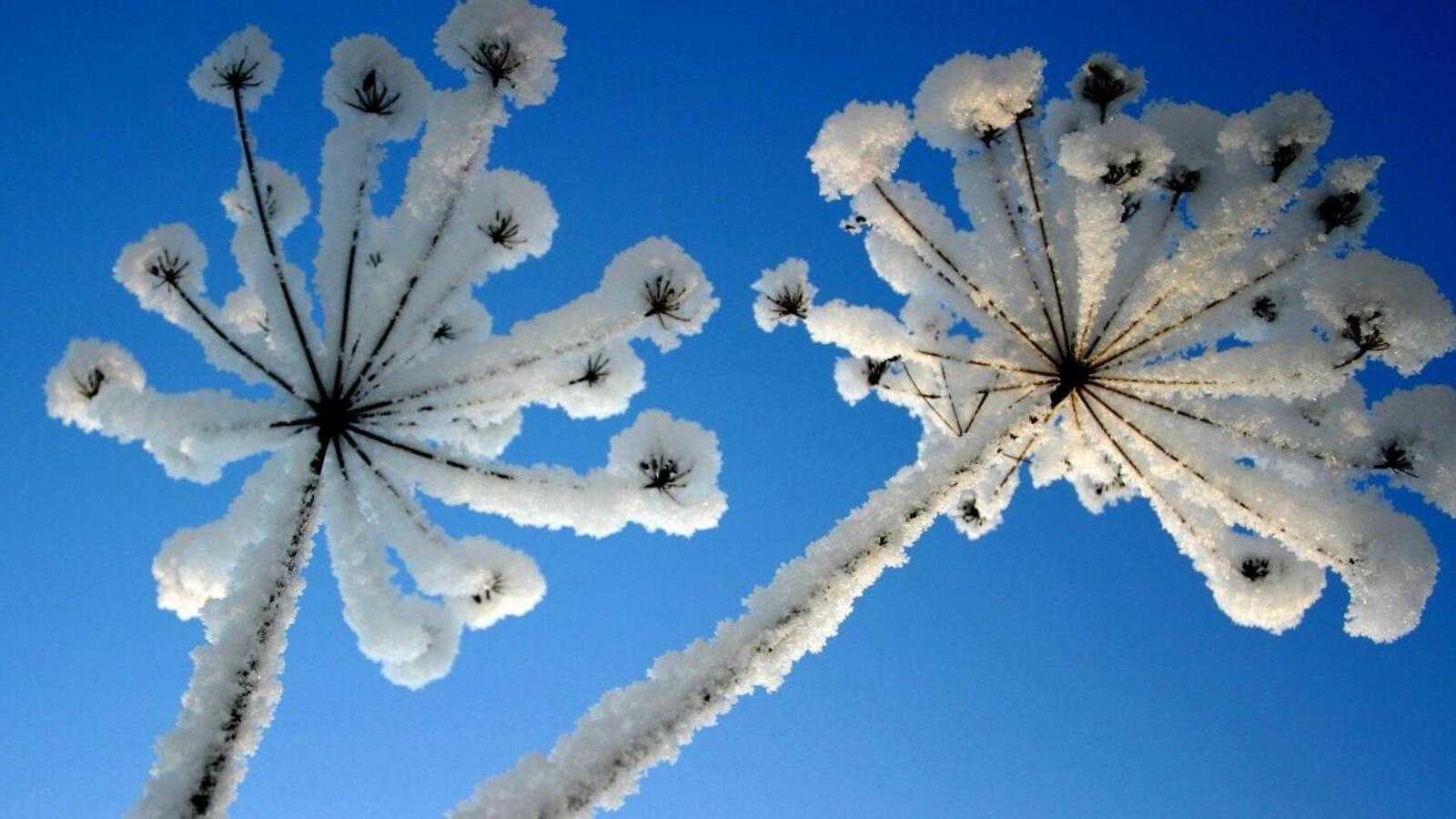 ИА «Башинформ»