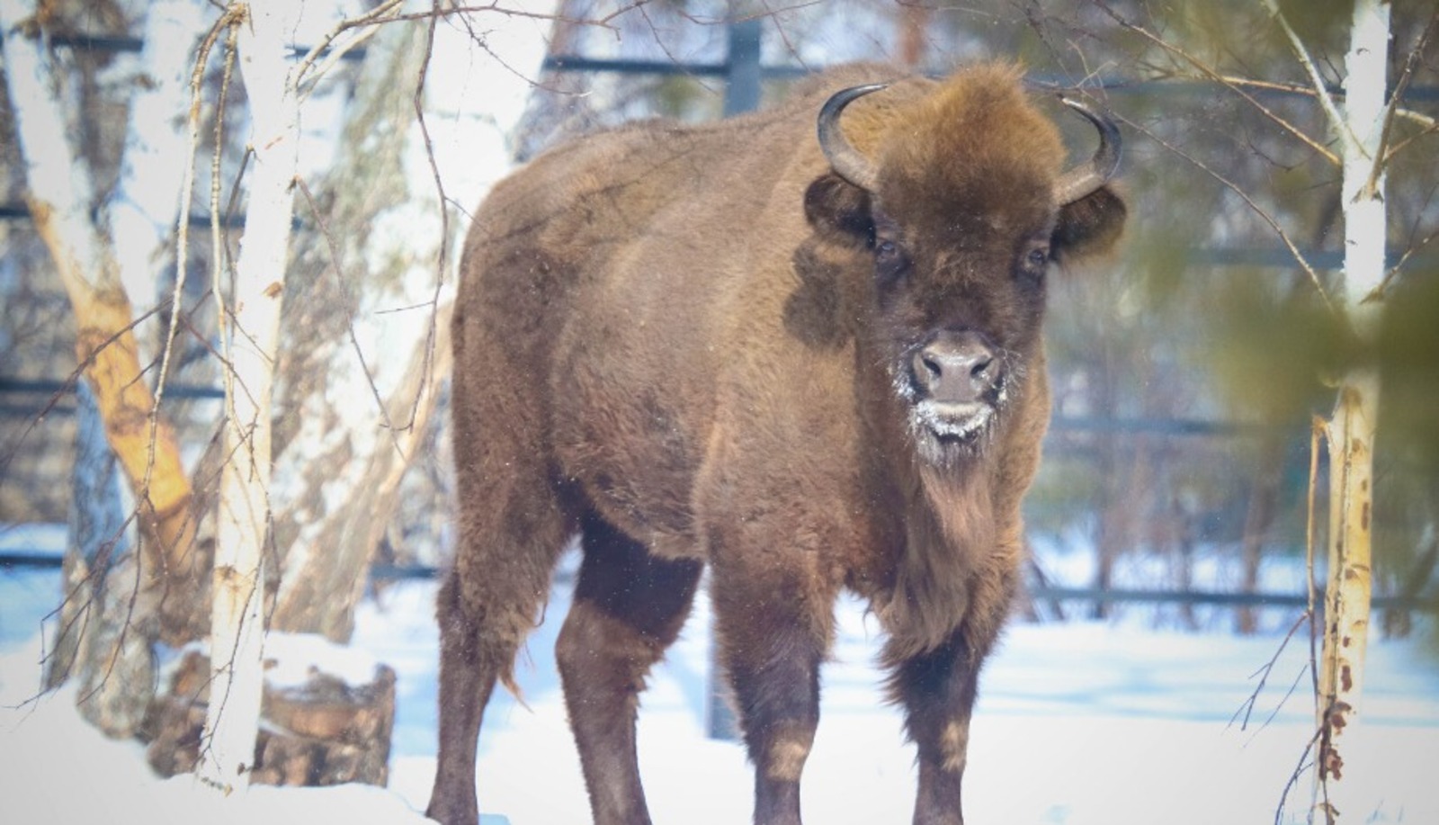 ИА «Башинформ» архив
