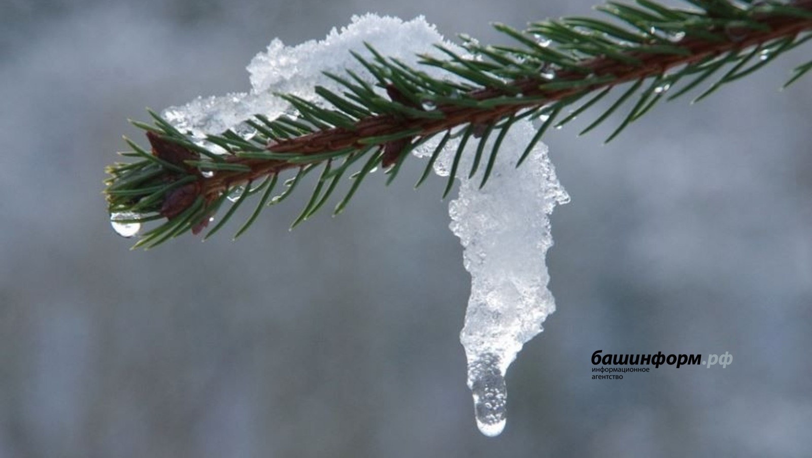 ИА «Башинформ» архив