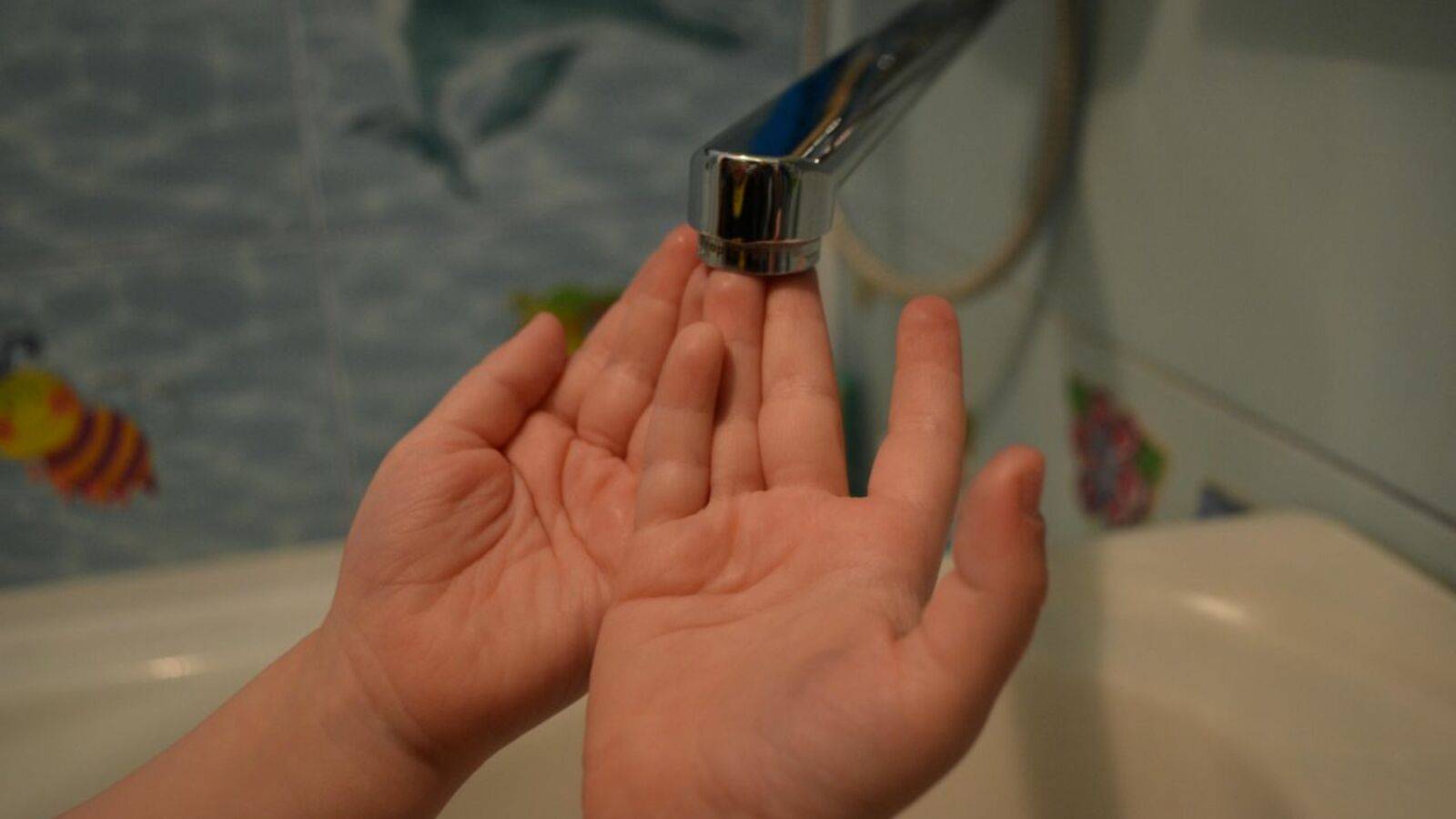 Ксения Калинина