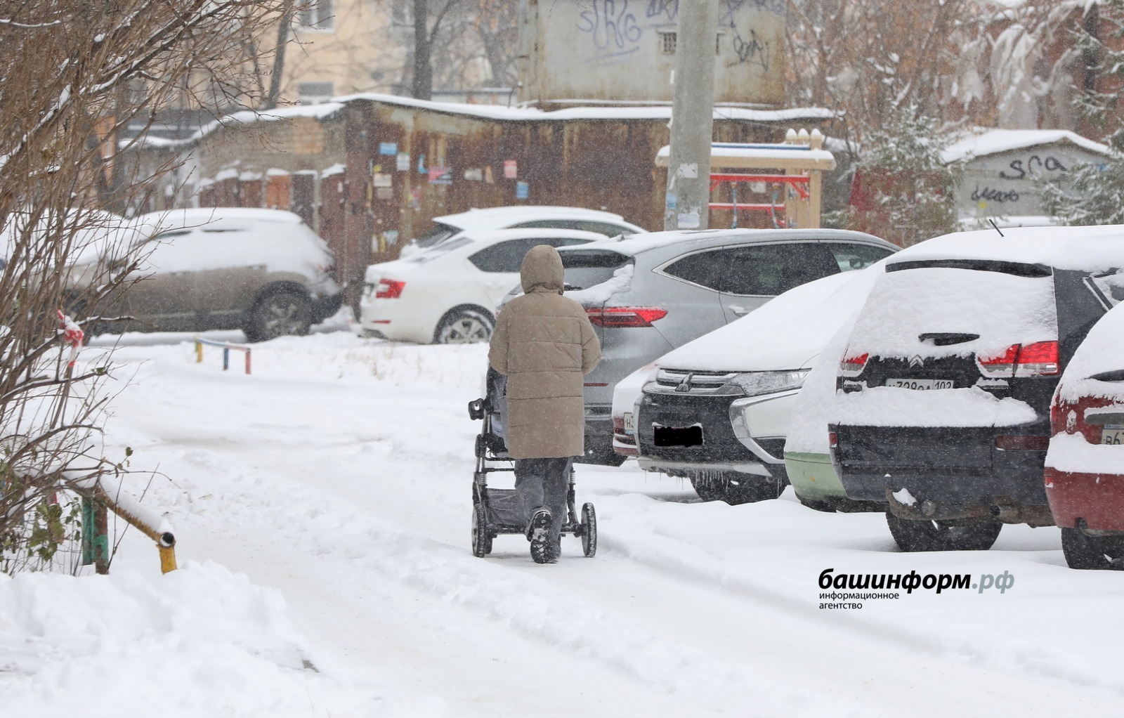 Валерий Шахов