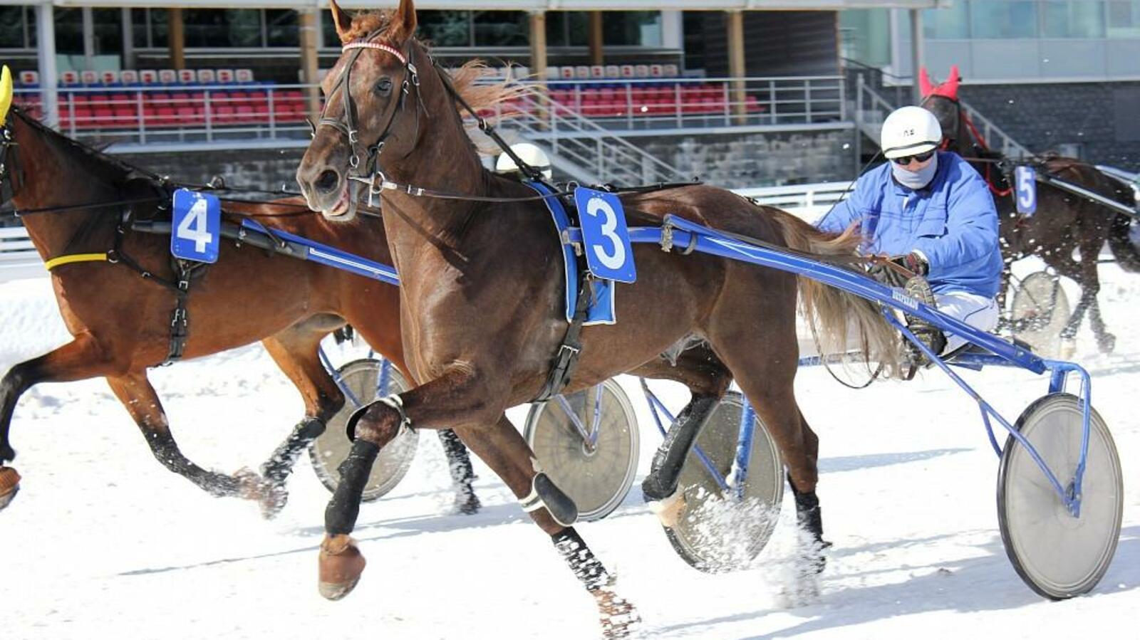 ипподром «Акбузат»