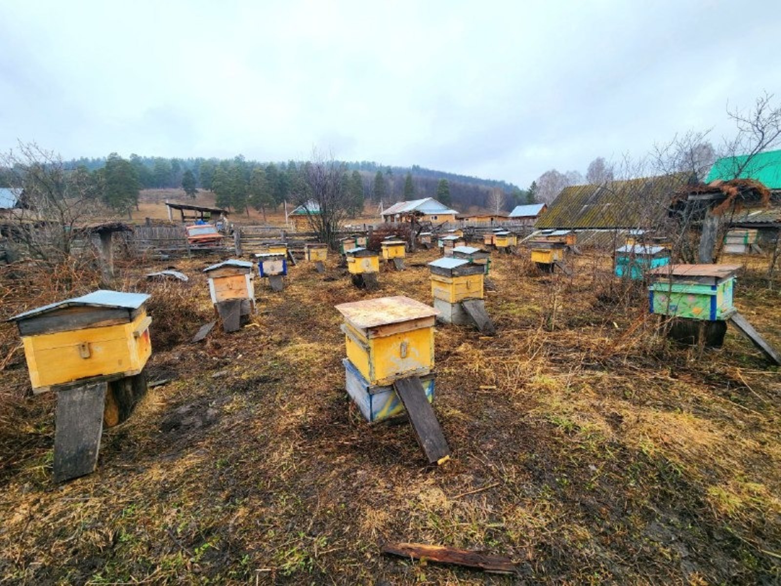 Национальный парк «Башкирия» Vk