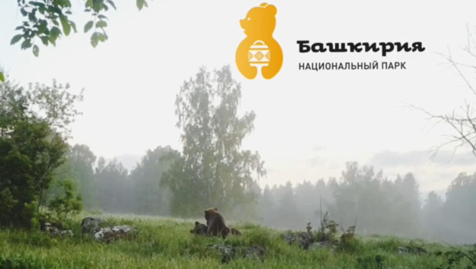 Национальный парк «Башкирия», телеграм