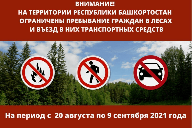 Внимание! С 20 августа по 9 сентября 2021 года ограничены пребывание граждан в лесах и въезд в них транспортных средств