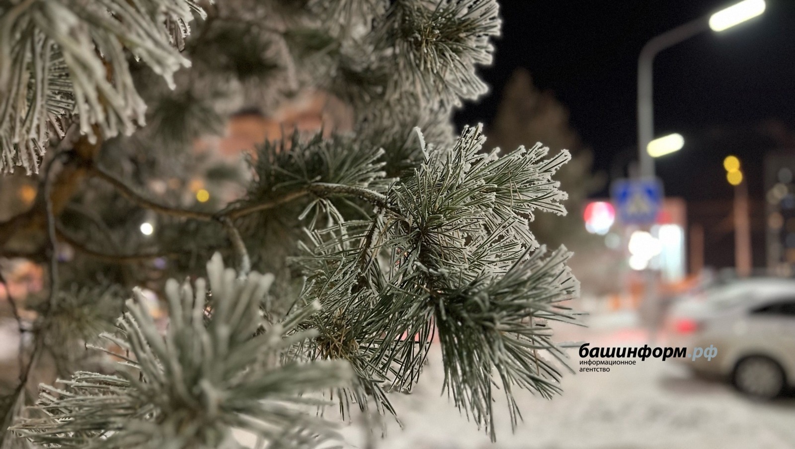 Ксения Калинина / «Башинформ» мәғлүмәт агентлығы