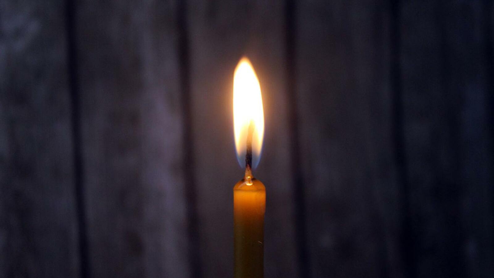 Карина Камаева