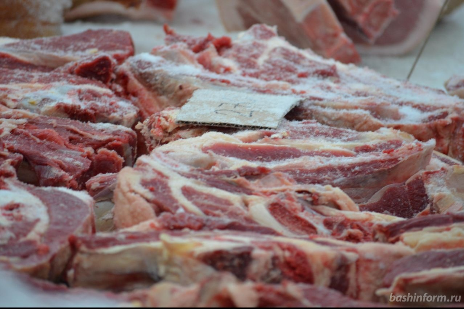 Ксения Калинина