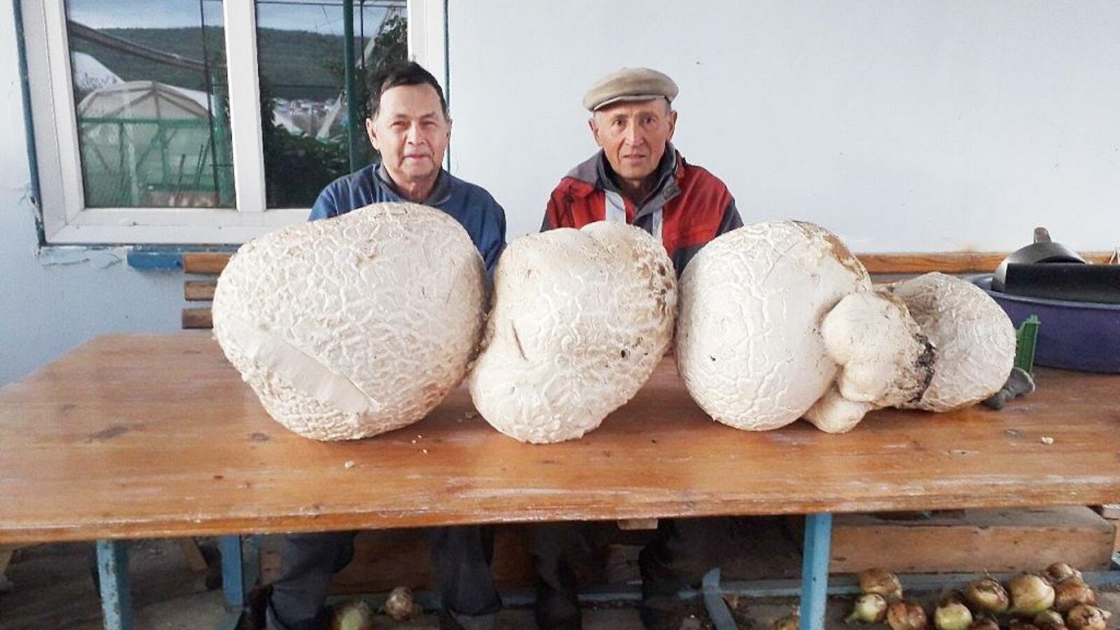 Учалинская газета, Vk