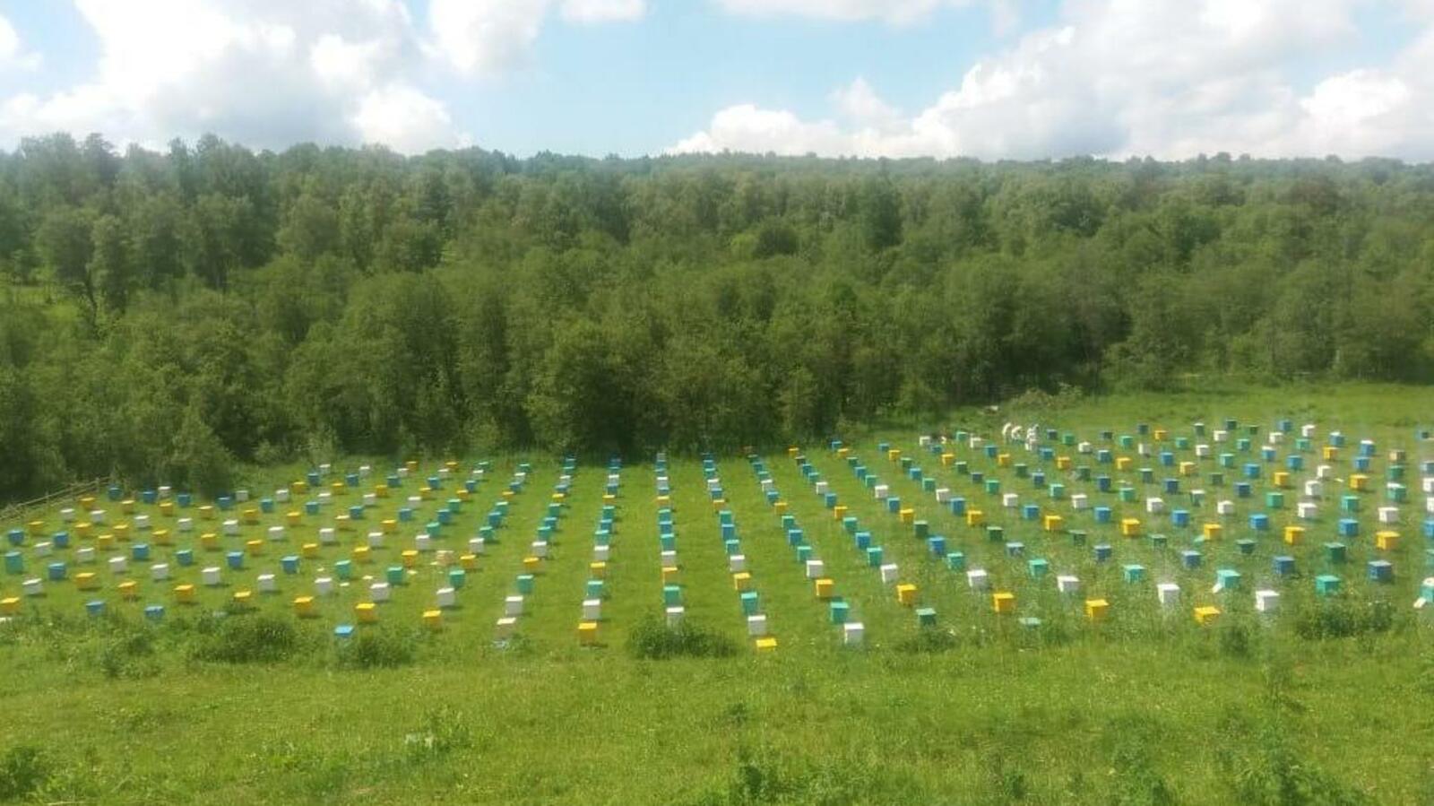 ИА «Башинформ»