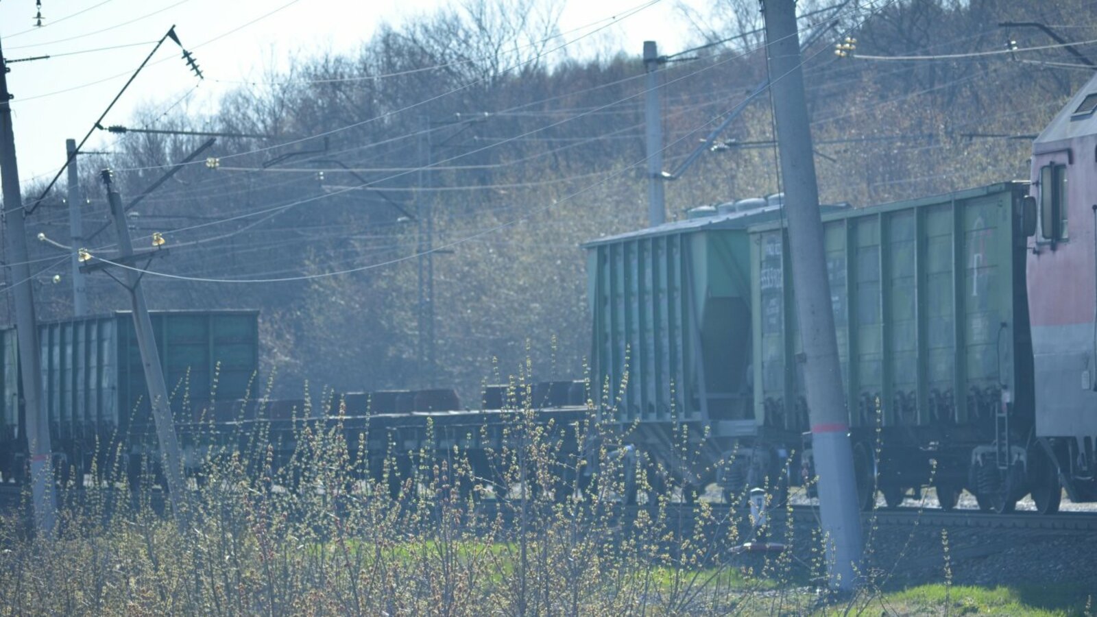 Ксения Калинина