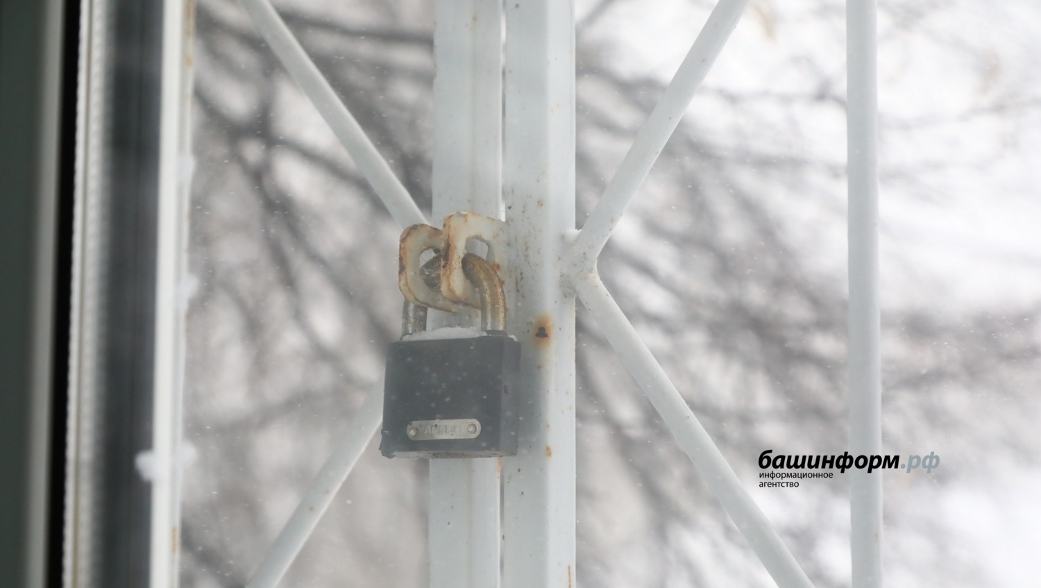 Валерий Шахов ИА Башинформ