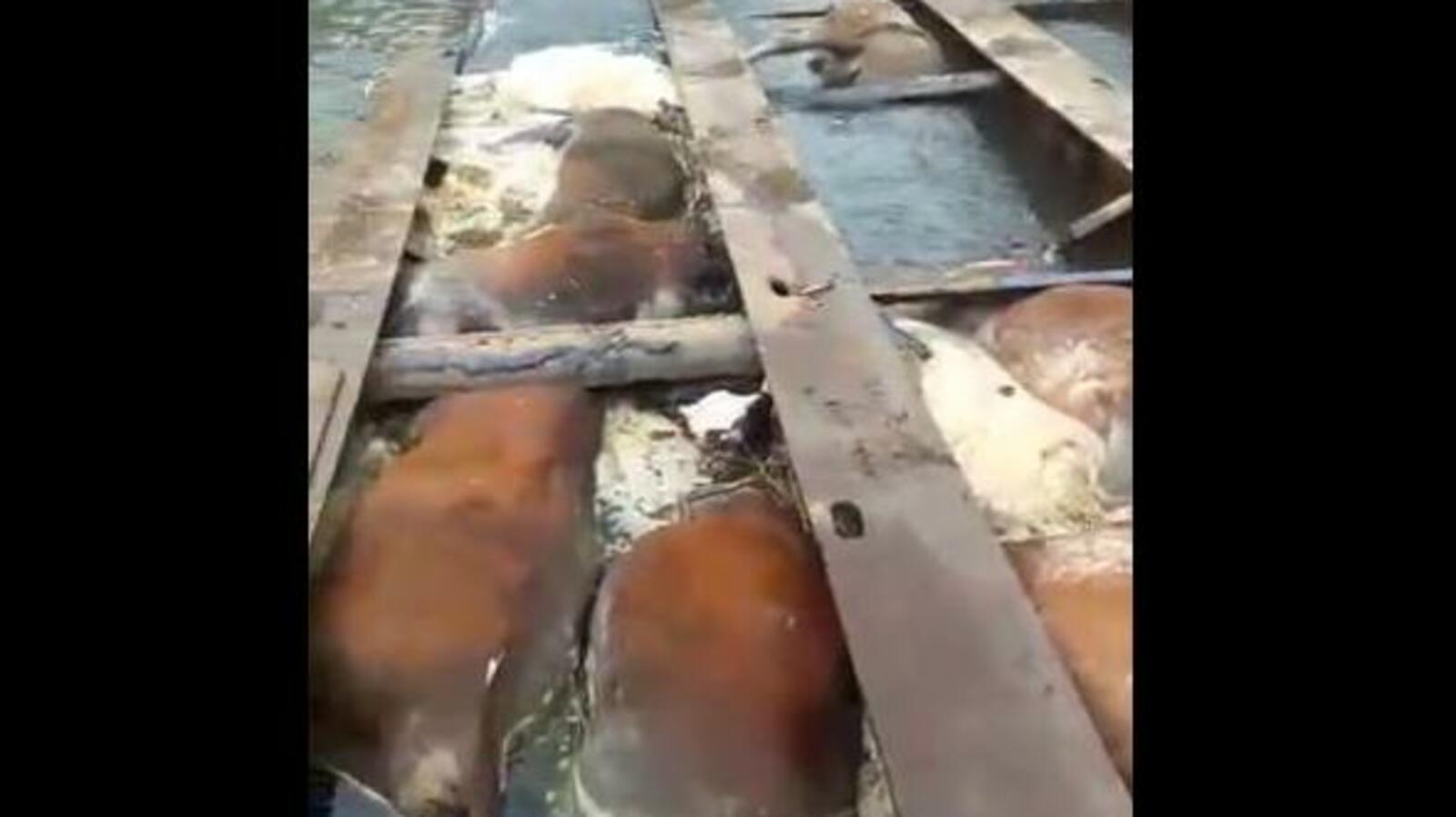 стоп-кадр видео