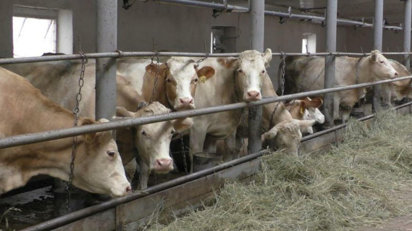 Минсельхоз РБ