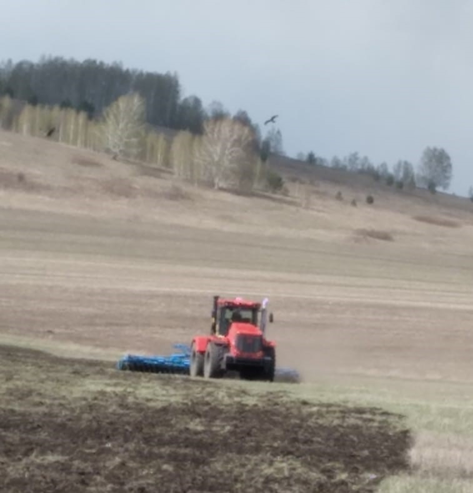 В Дуванском районе продолжаются весенне-полевые работы