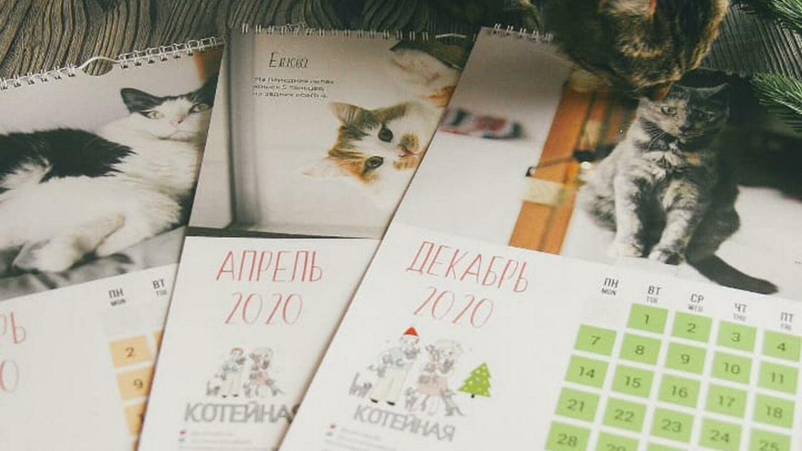Котокафе «Котейная»