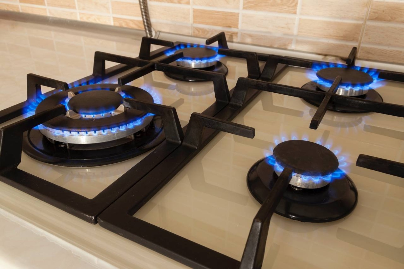 пресс-служба  правительство РФ