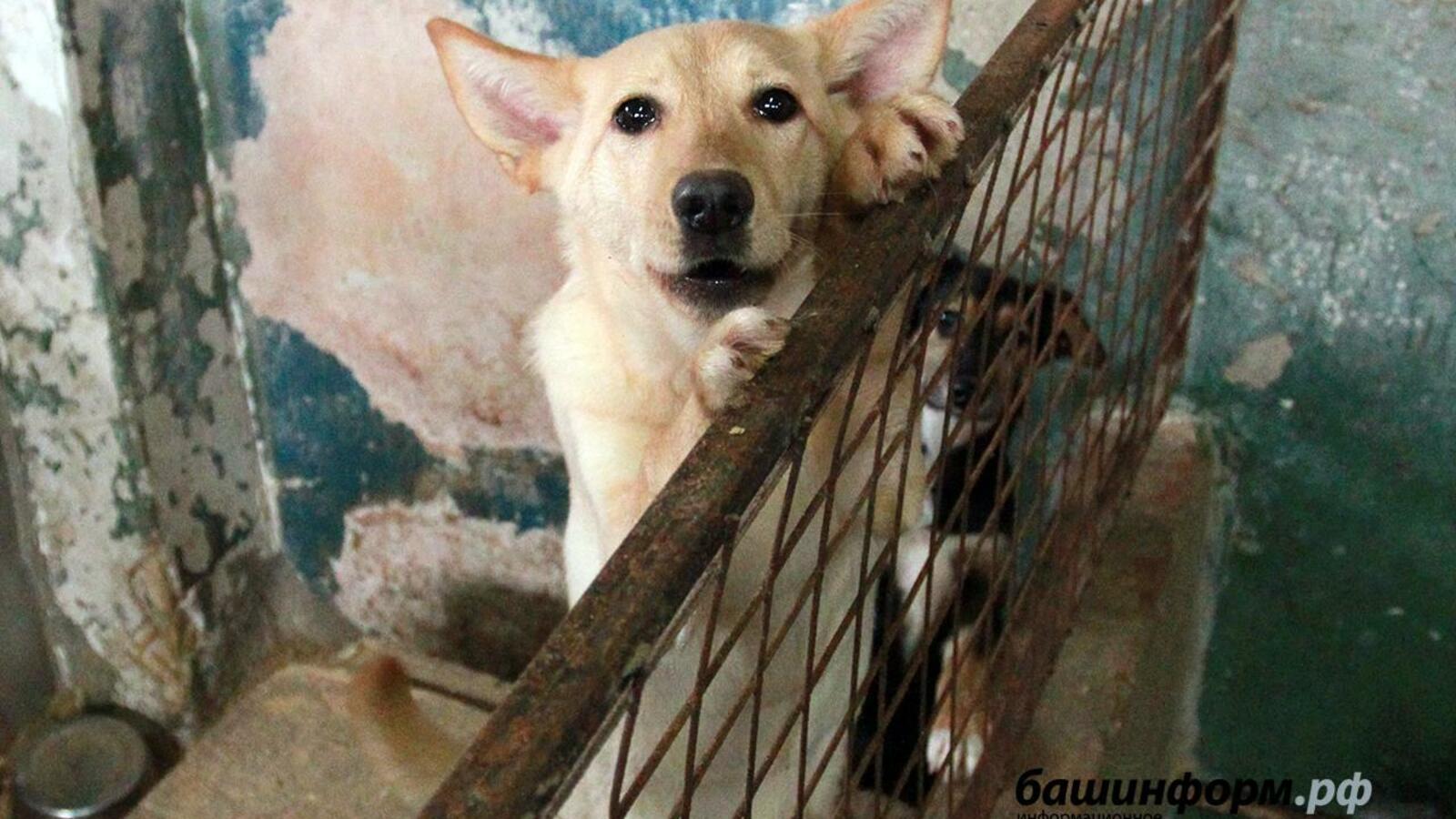 ИА «Башинформ»