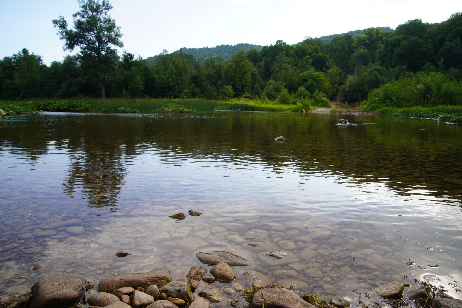 Олег Яровиков