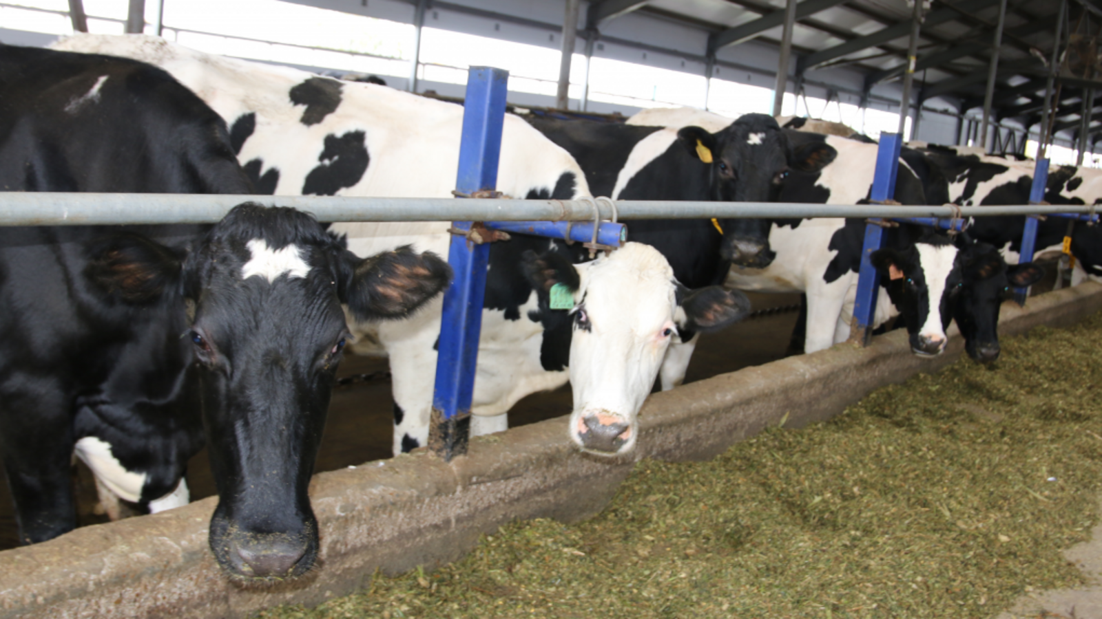 Минсельхоз РБ