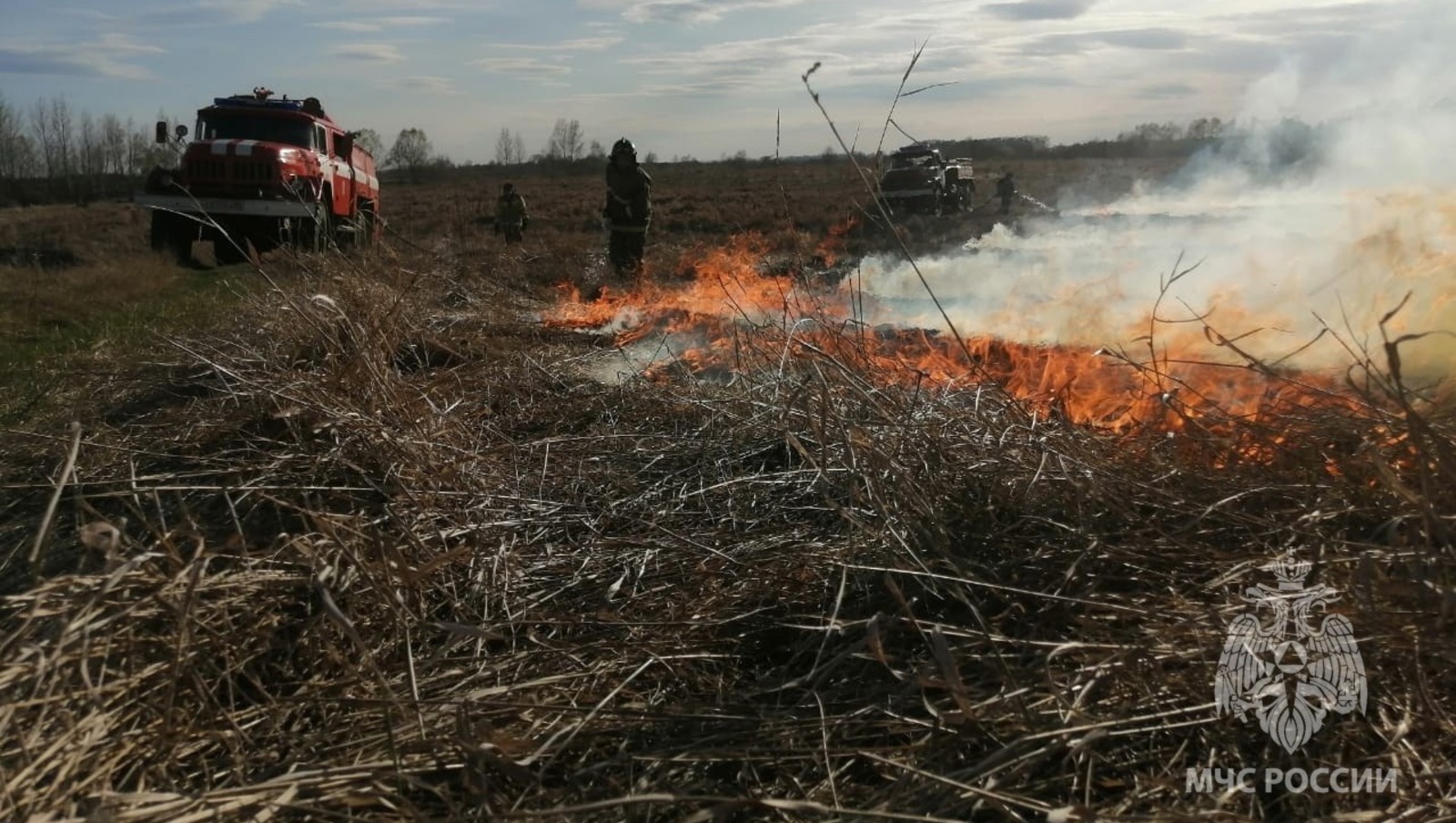 ГУ МЧС по РБ