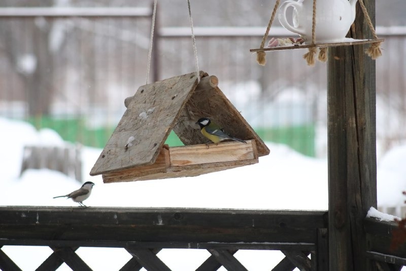 Нацпарк «Башкирия» ТГ-канал