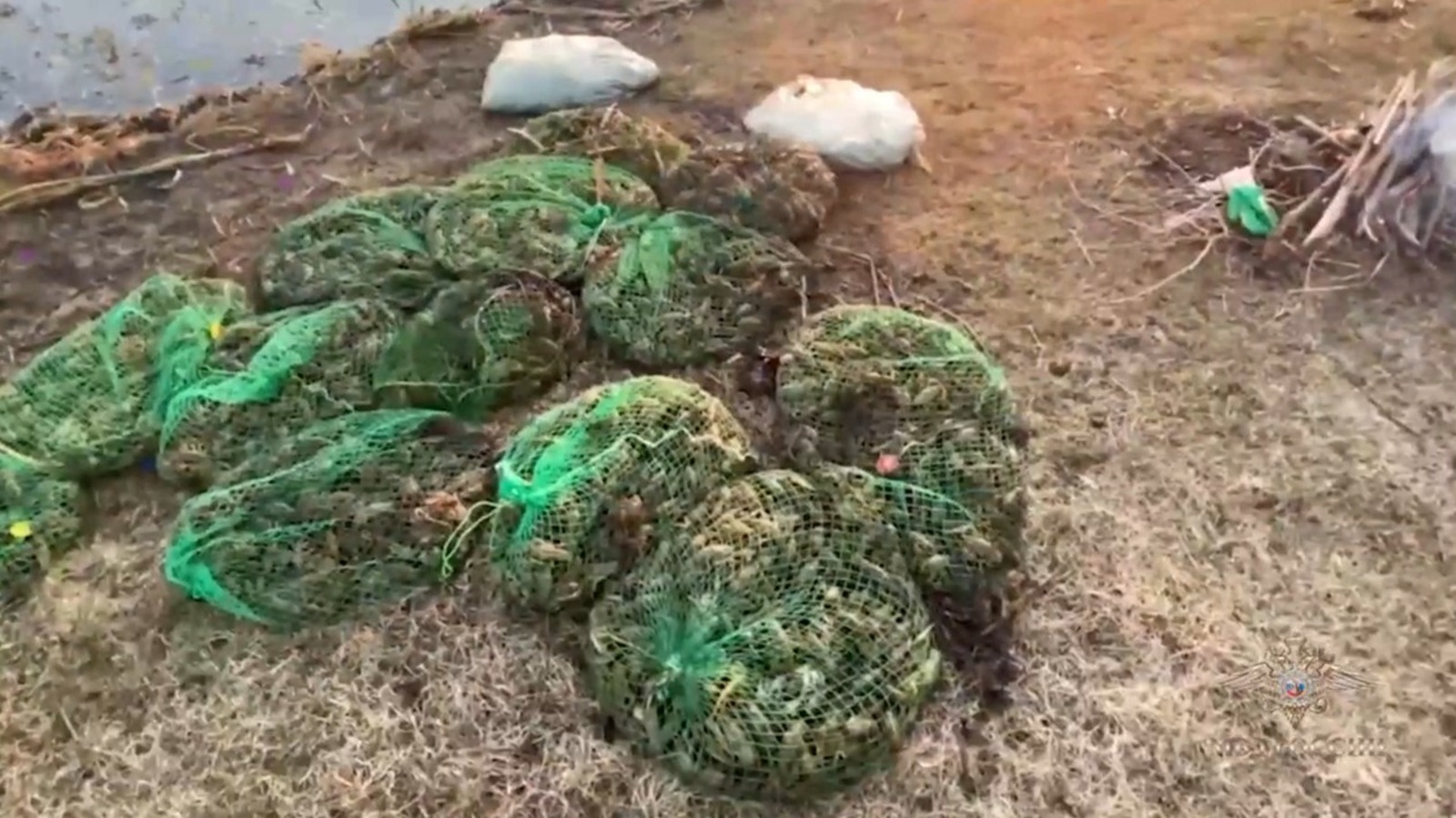 Скриншот видео