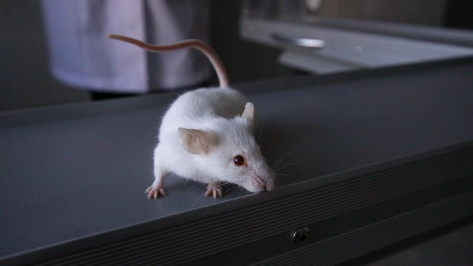 Валерий Шахов