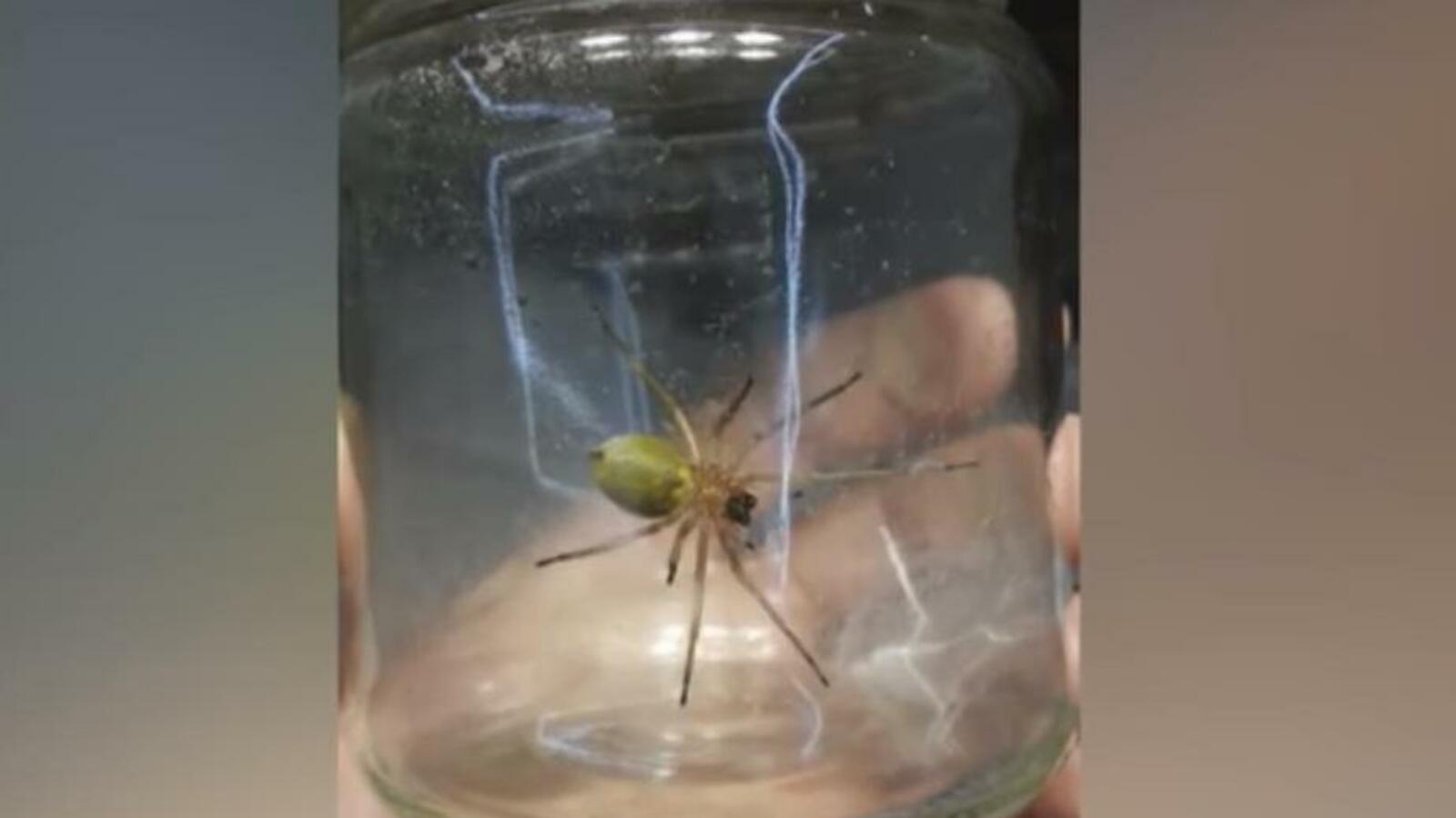 стоп-кадр видео ГТРК «Башкортостан»