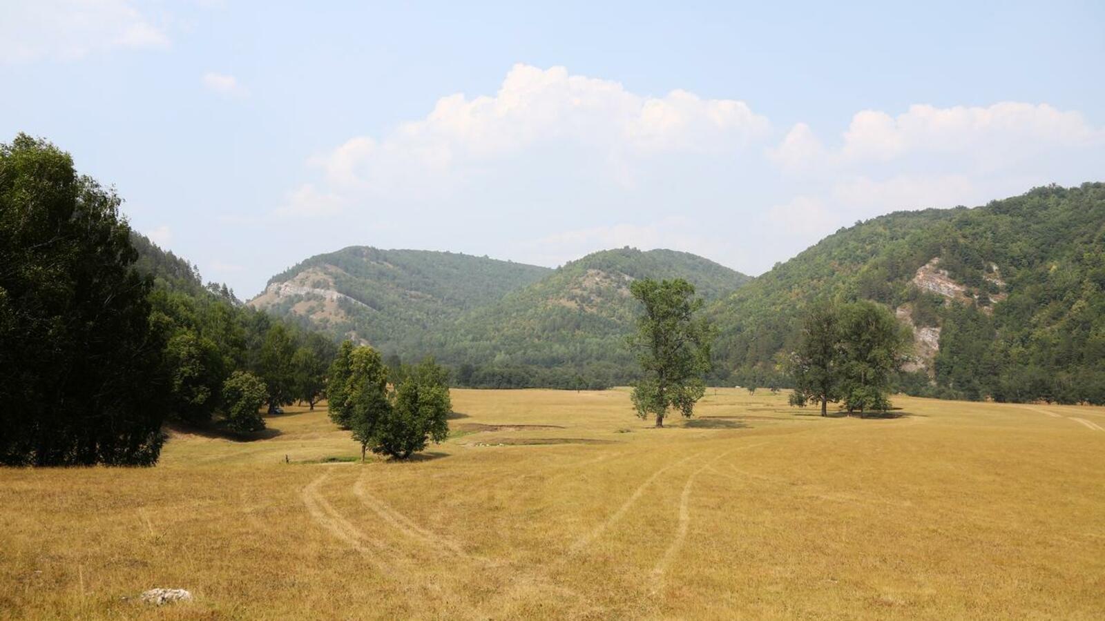 Валерий Шахов