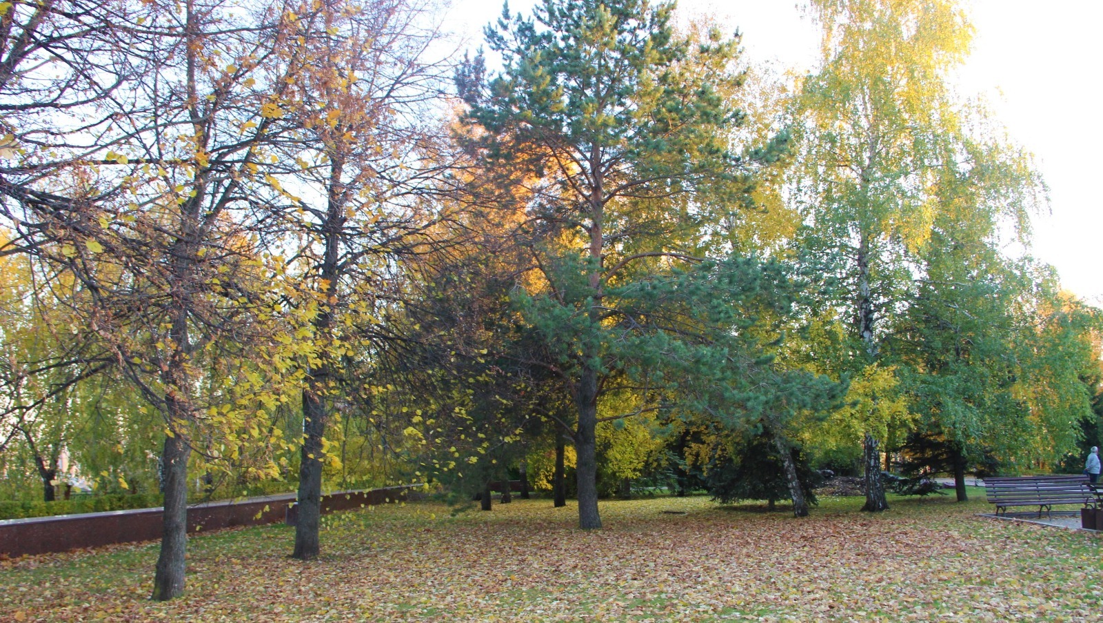 ИА «Башинформ»