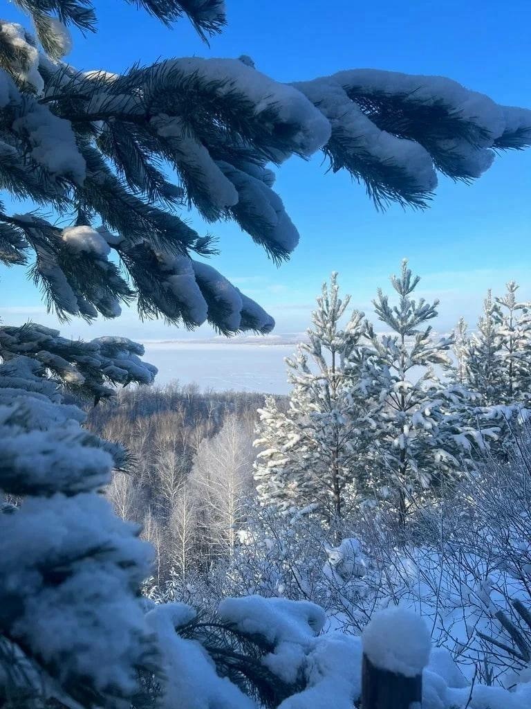 Радий Хабиров телеграм-канал