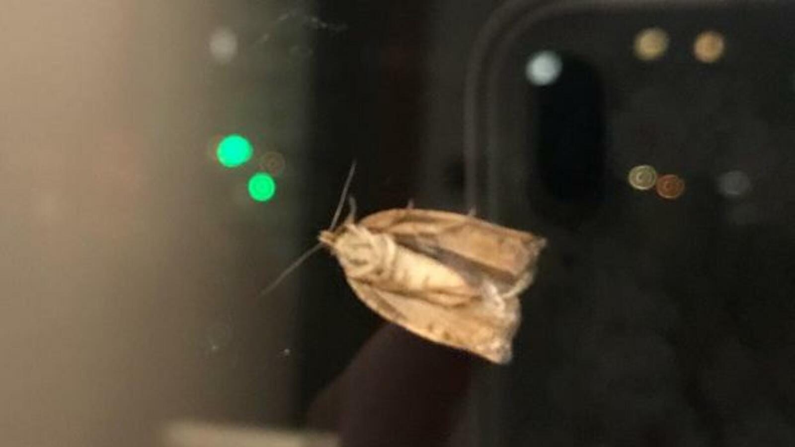 ИА «Башинформ»