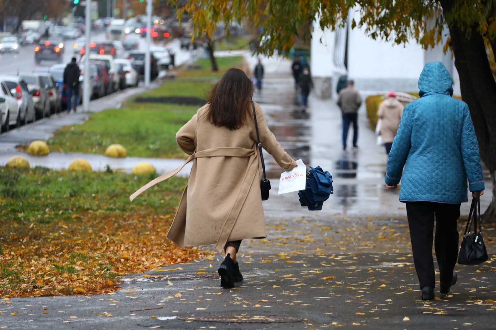 Валерий Шахов