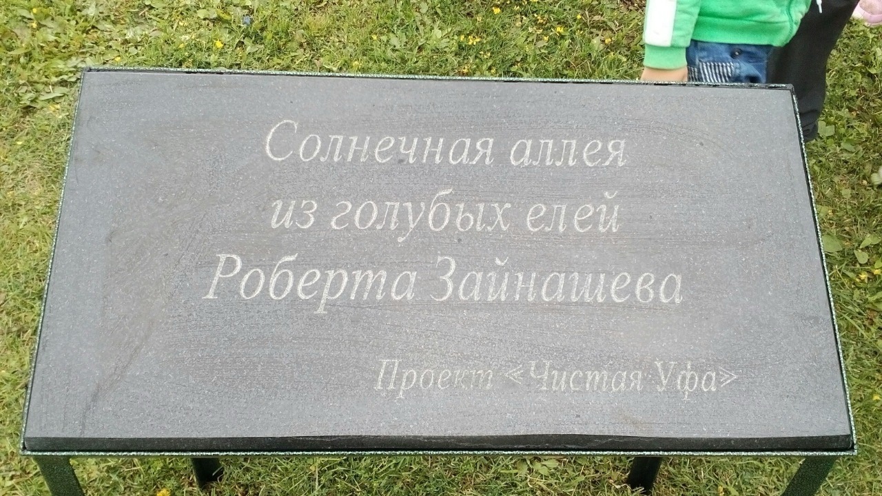 предоставлено героем публикации