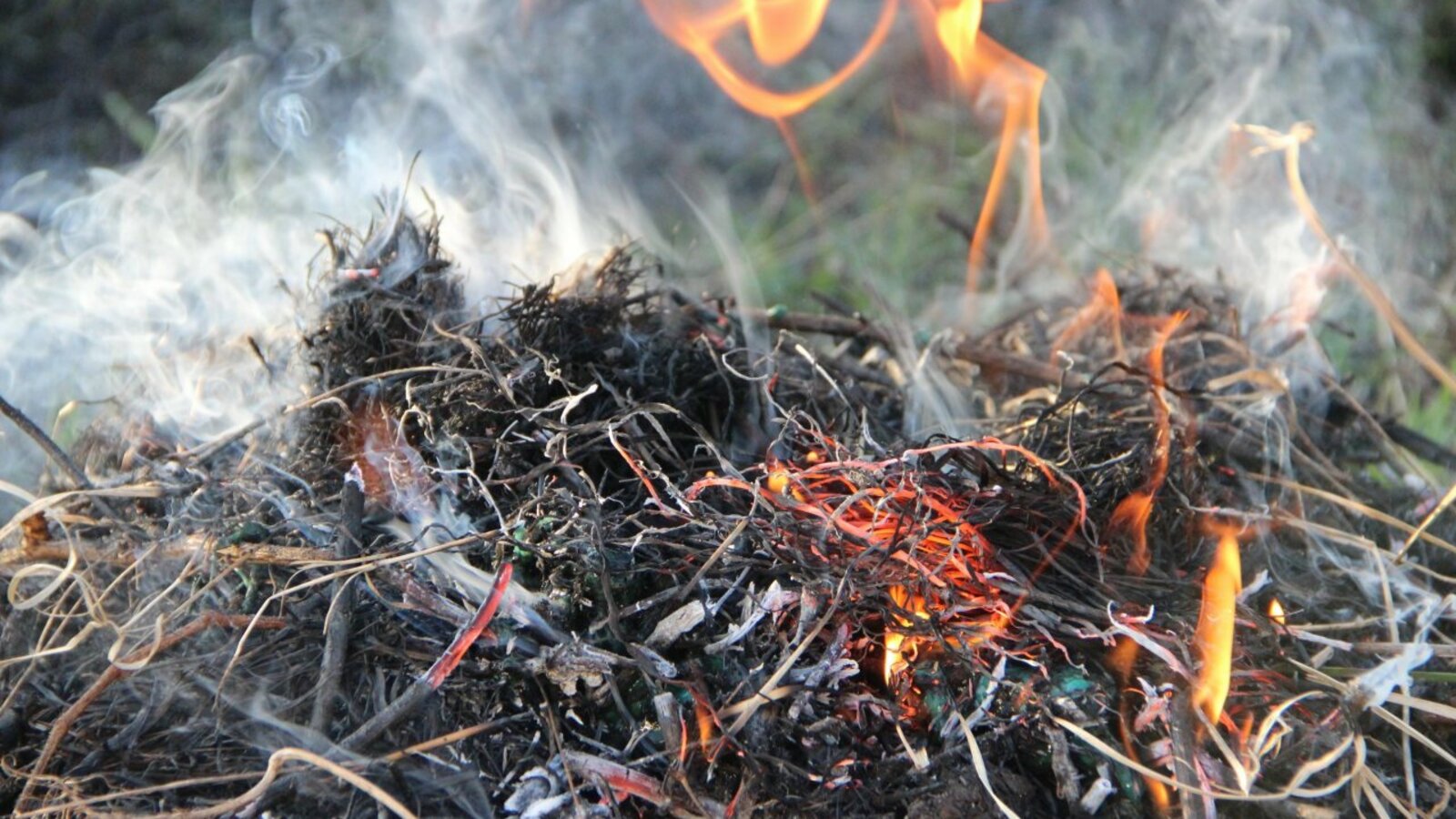 ИА «Башинформ»