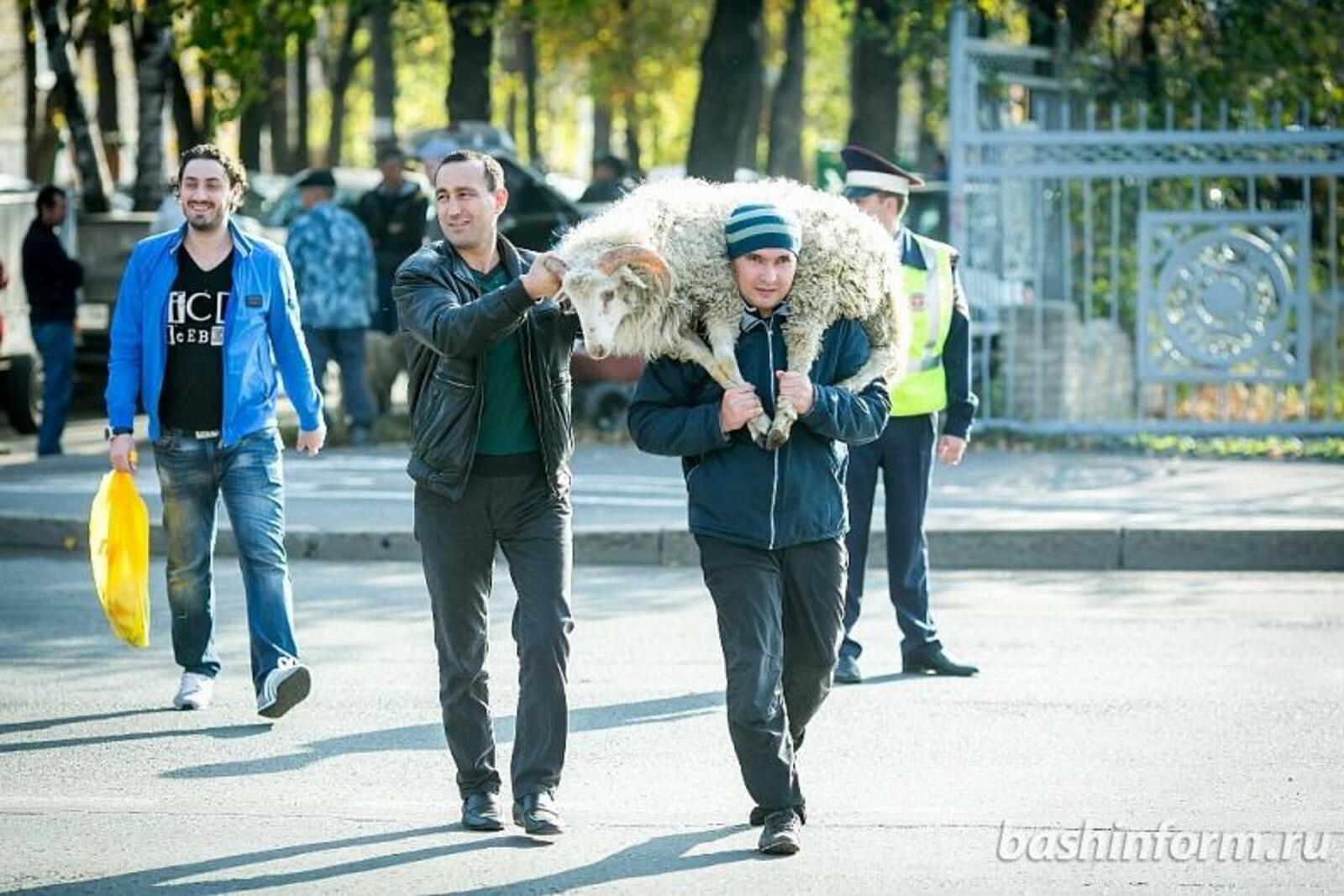ИА «Башинформ»