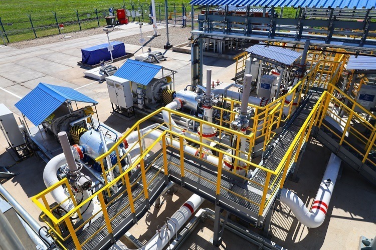 Артур Салимов