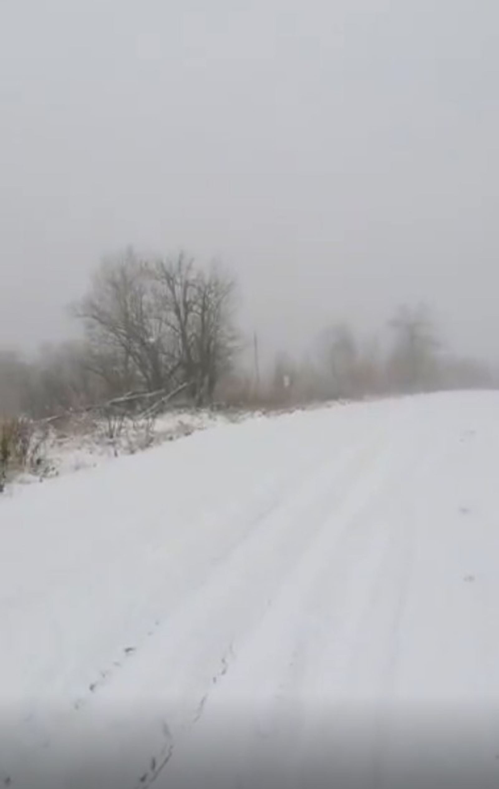 скриншот видео