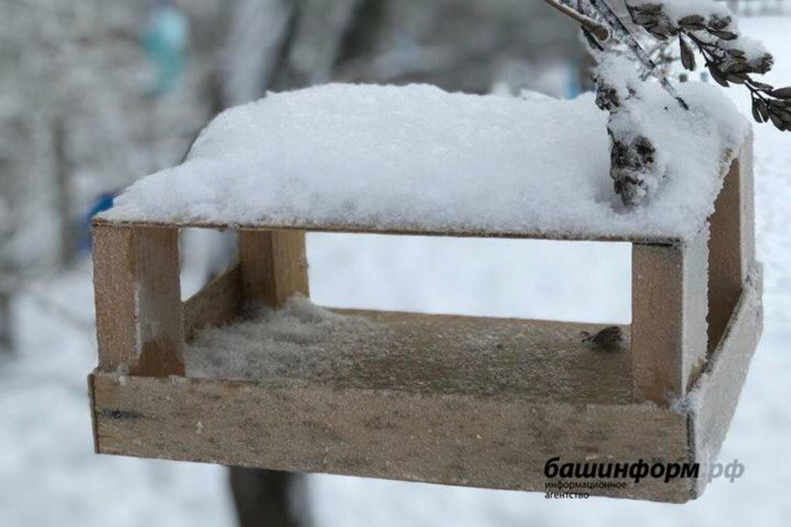Ксения Калинина