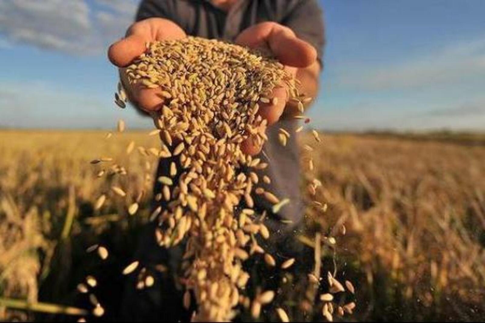 agroinfo.com