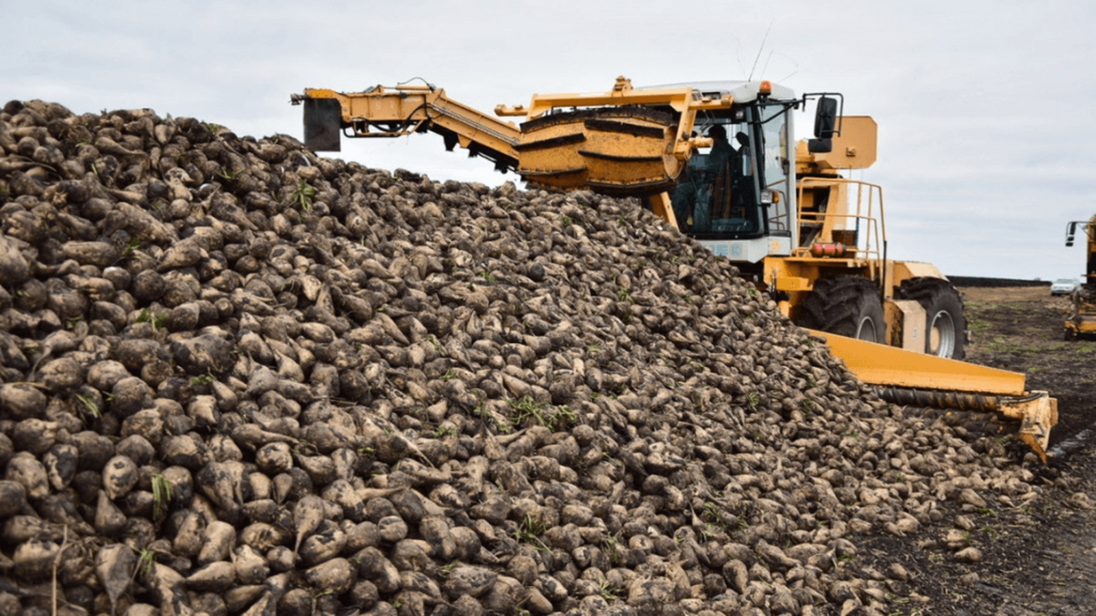 пресс-служба Минсельхоза Башкирии