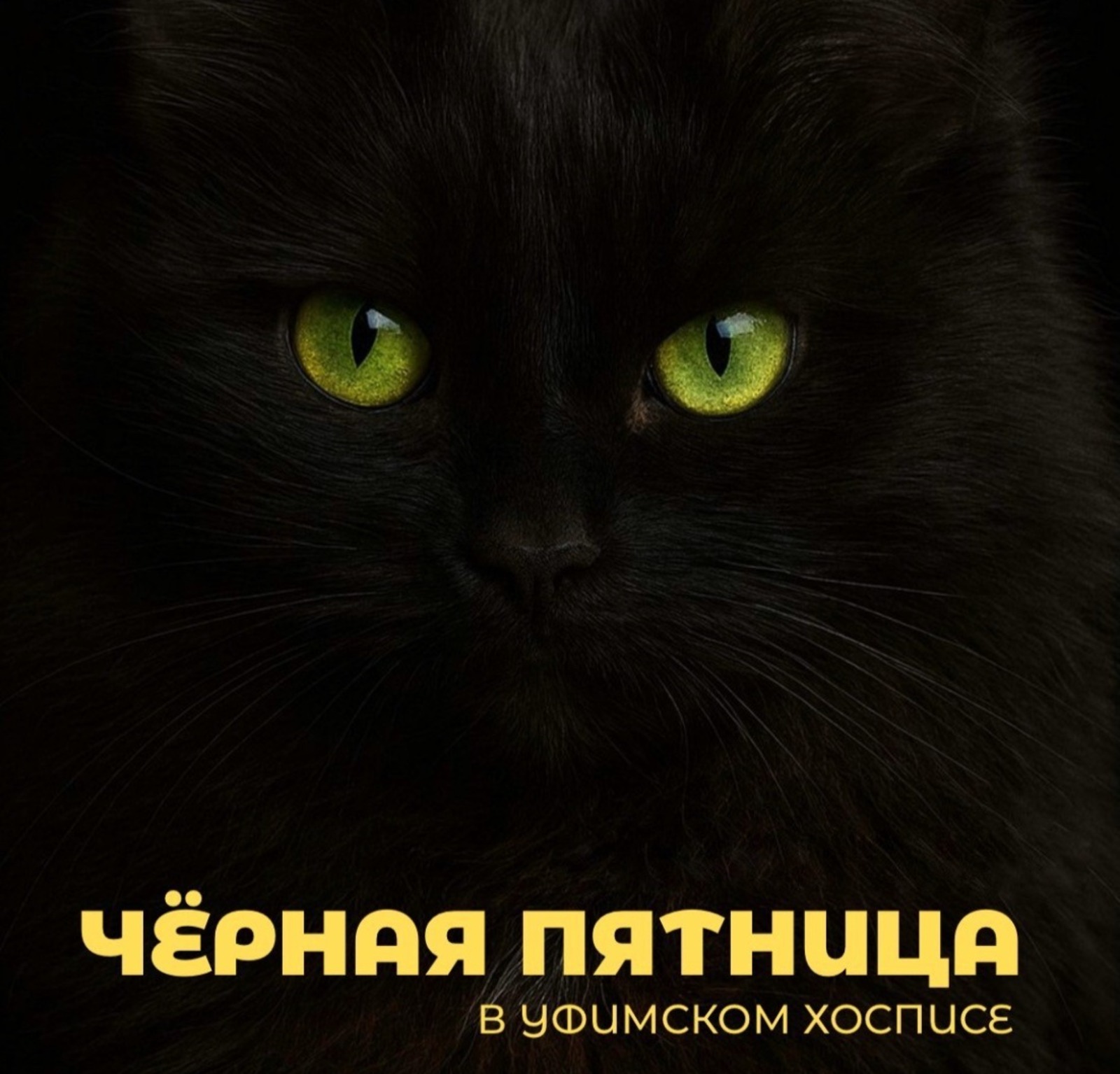 сгенерировано нейросетью ChatGPT предоставлено Уфимским хосписом