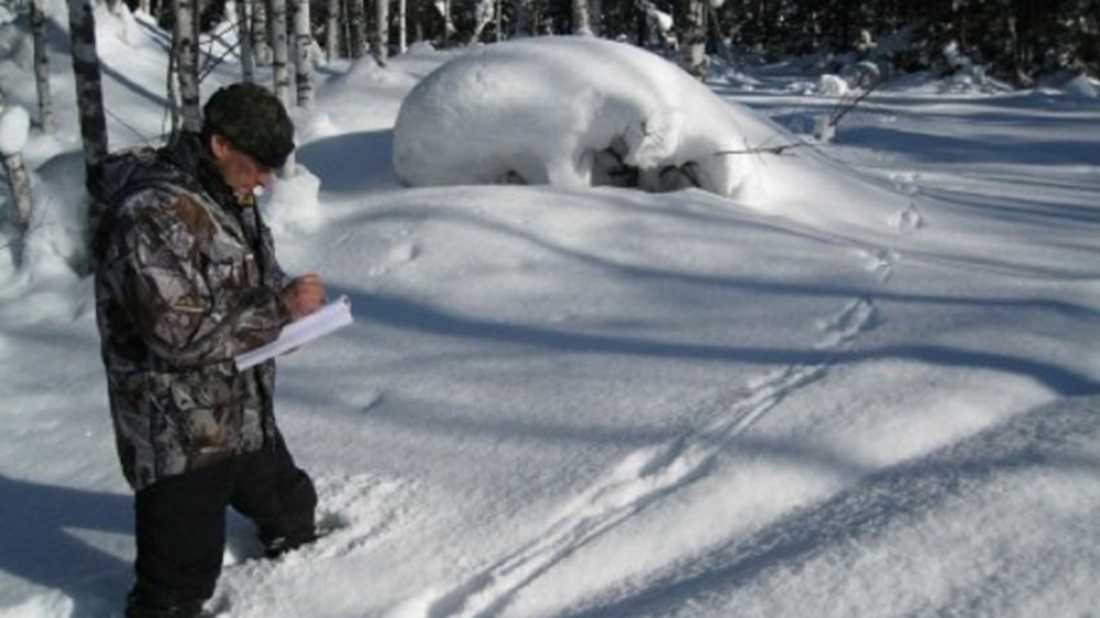 Минэкологии РБ