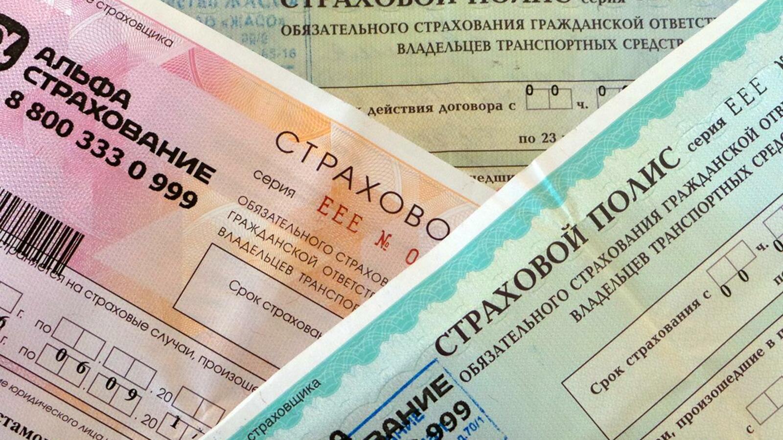 Арина Рахимкулова